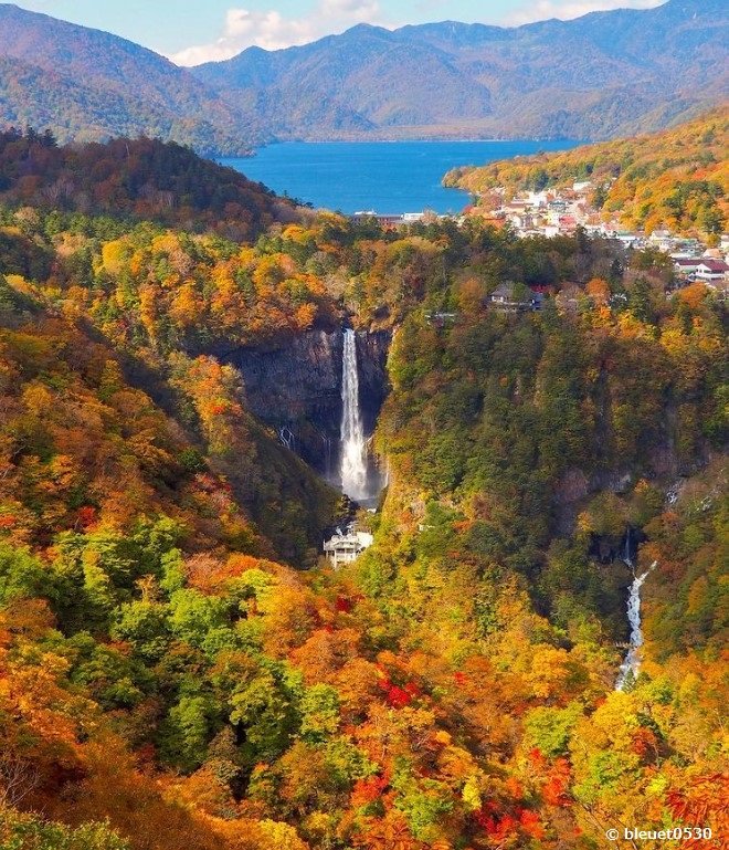 🏞️ 안개 내리는 폭포(키리후리노타키) 이미지 3